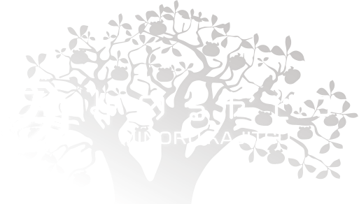 美味しい柿の通販