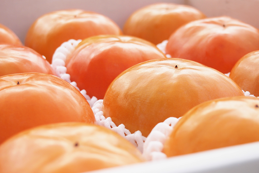 柿の産地から直送