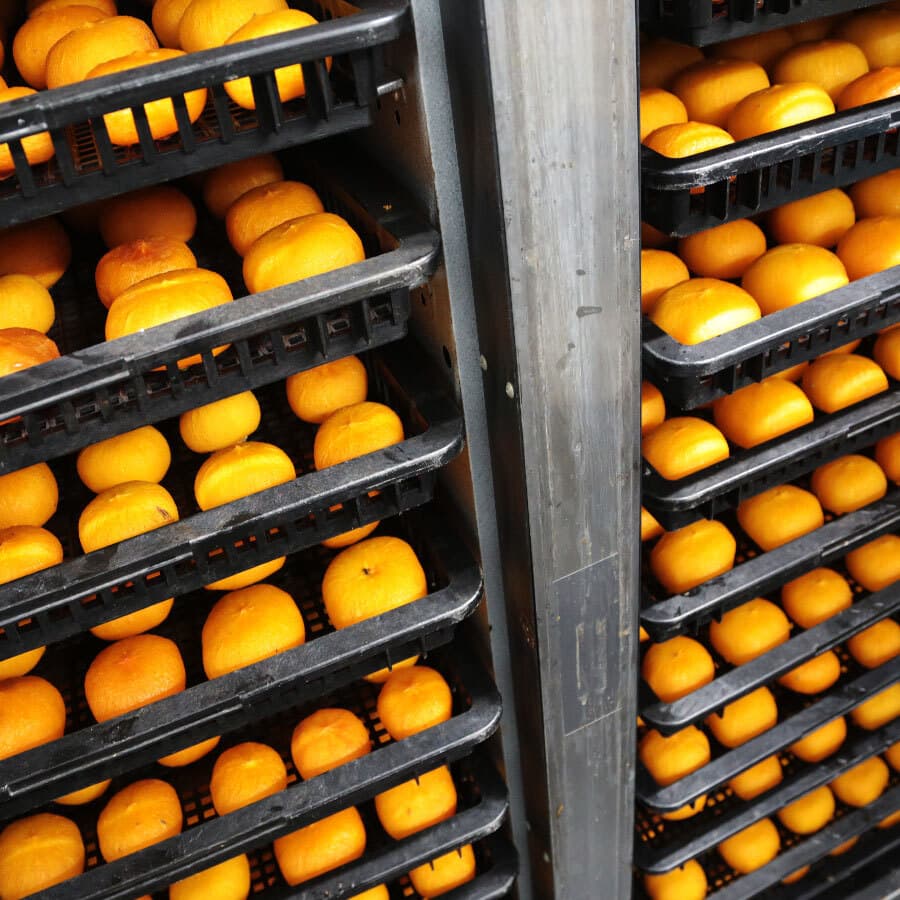 あんぽ柿の加工